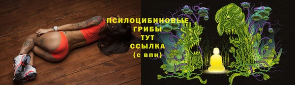 меф Майский