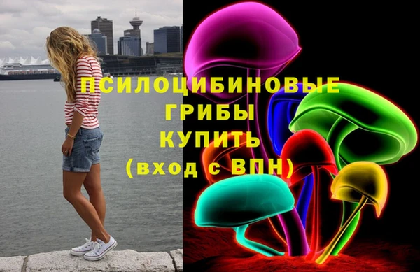 круглые Магас
