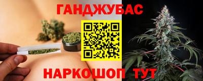 крисы Обь
