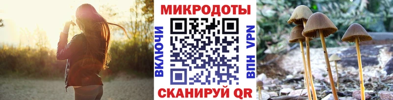 Псилоцибиновые грибы ЛСД  закладка  Советск 