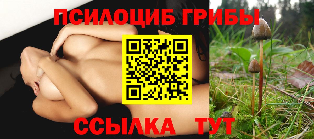 Советск  Галлюциногенные грибы мухоморы  Вход с VPN 