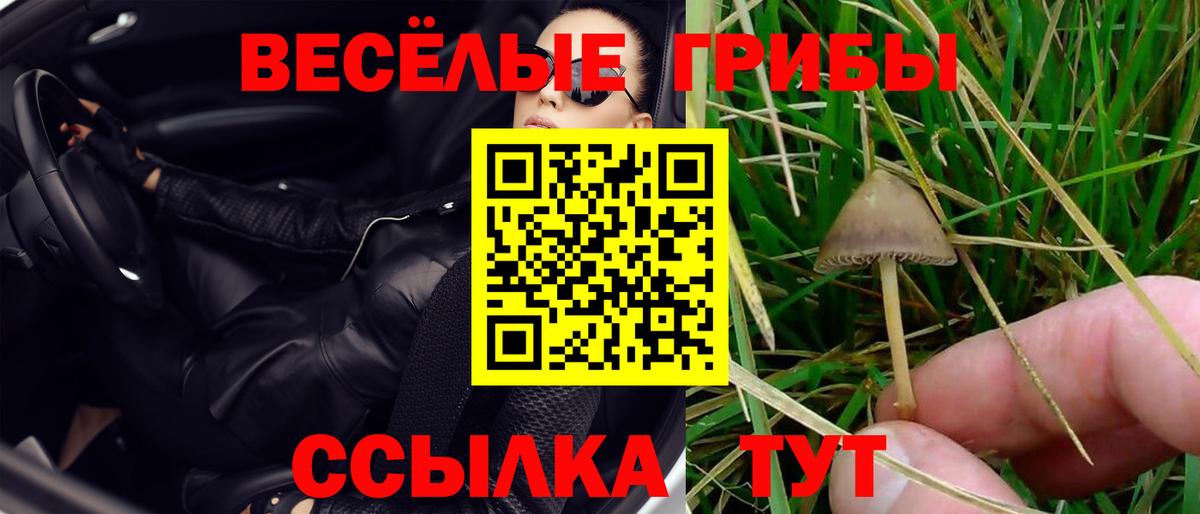 Галлюциногенные грибы мухоморы Советск